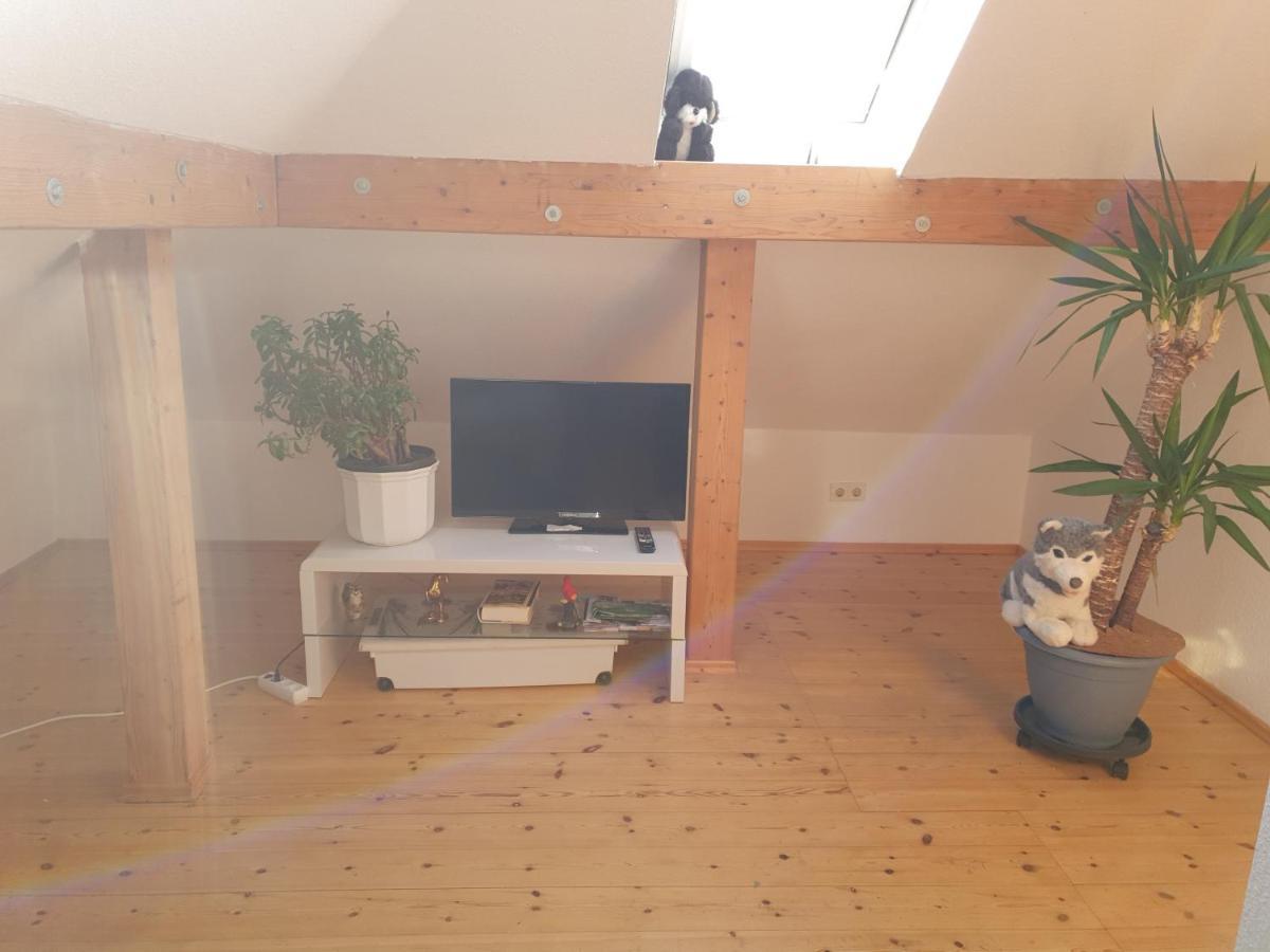 Hotel, Ferienwohnung, Zimmer Bad Driburg Eksteriør bilde